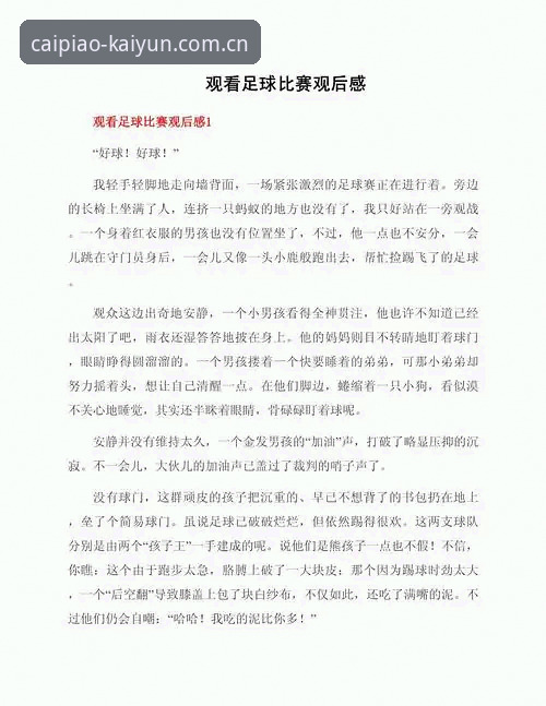 资深用户亲历：世界杯观赛签证危机与开云竞猜体验心得